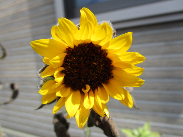 （７月２２日）