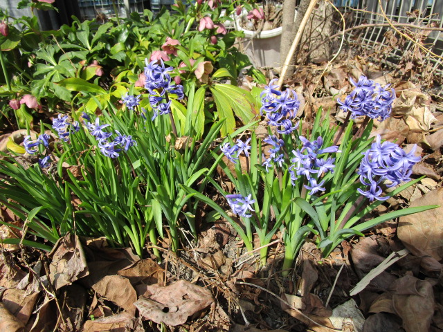 ３月１６日