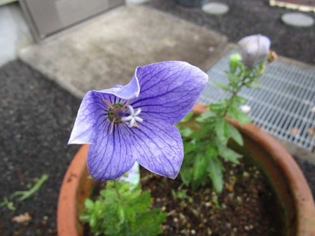 （６月３０日）