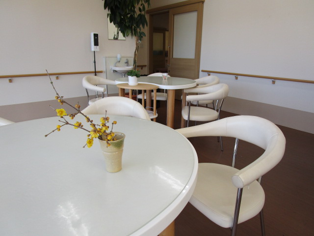 撮影はカフェにて。