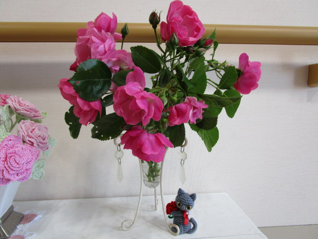 バラ2（生花）