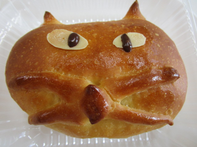 たまニャン